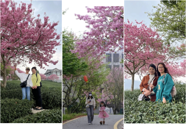 微信截图_20220308100742.png