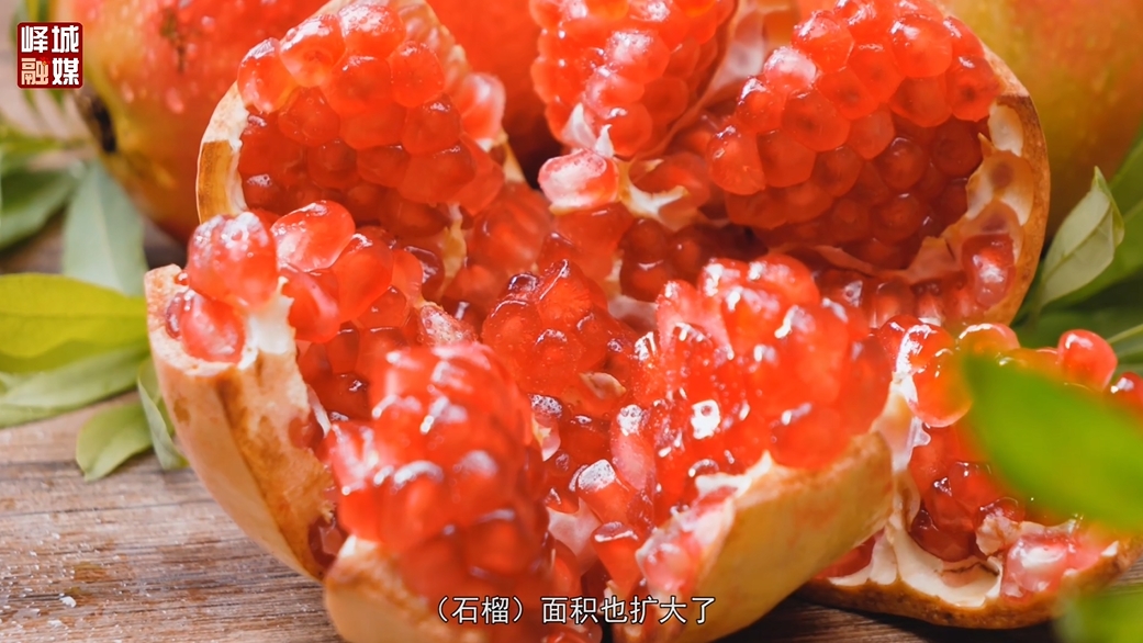 微信截图_20250219144454.png